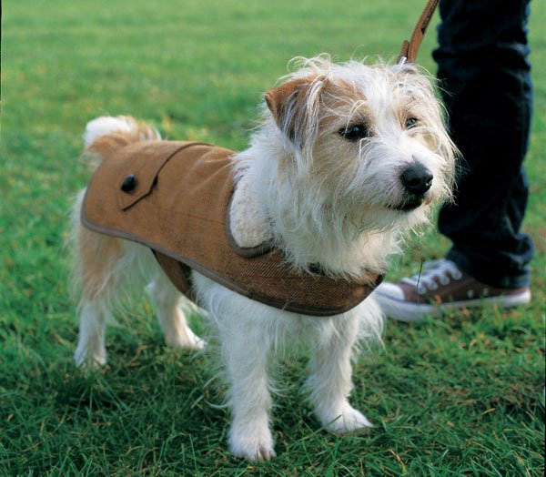 dogs jacket, ραψτε ρούχα για τον σκύλο σας μονοι σας
